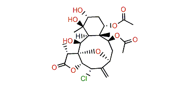 Briarenol E